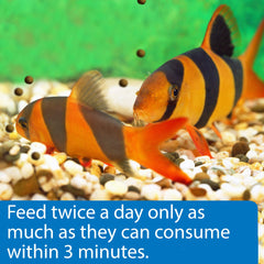 API Bottom Feeder Pellets digestion-optimized formula supports cleaner water.