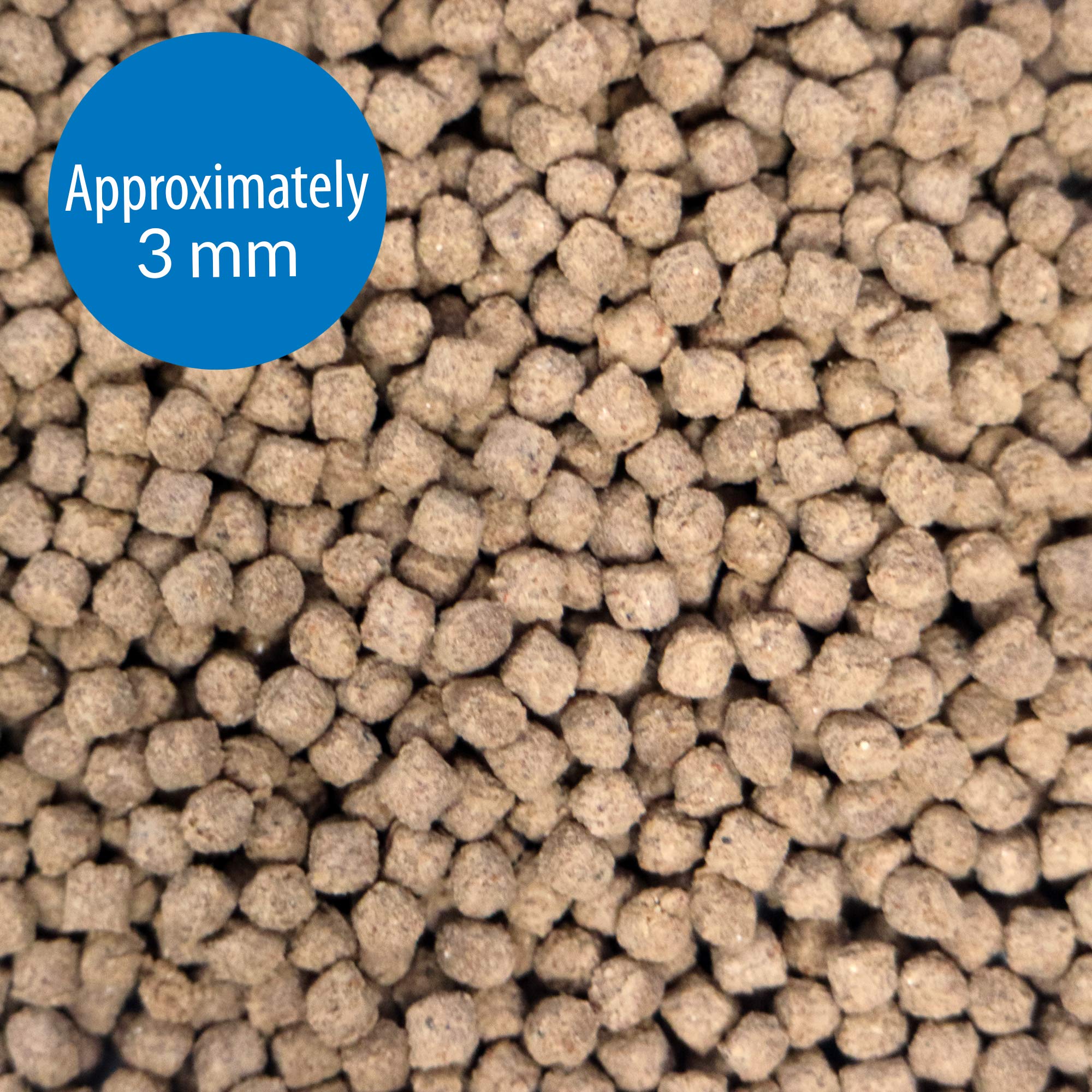 API Bottom Feeder Pellets seaweed and mussel ingredients provide nutrition.