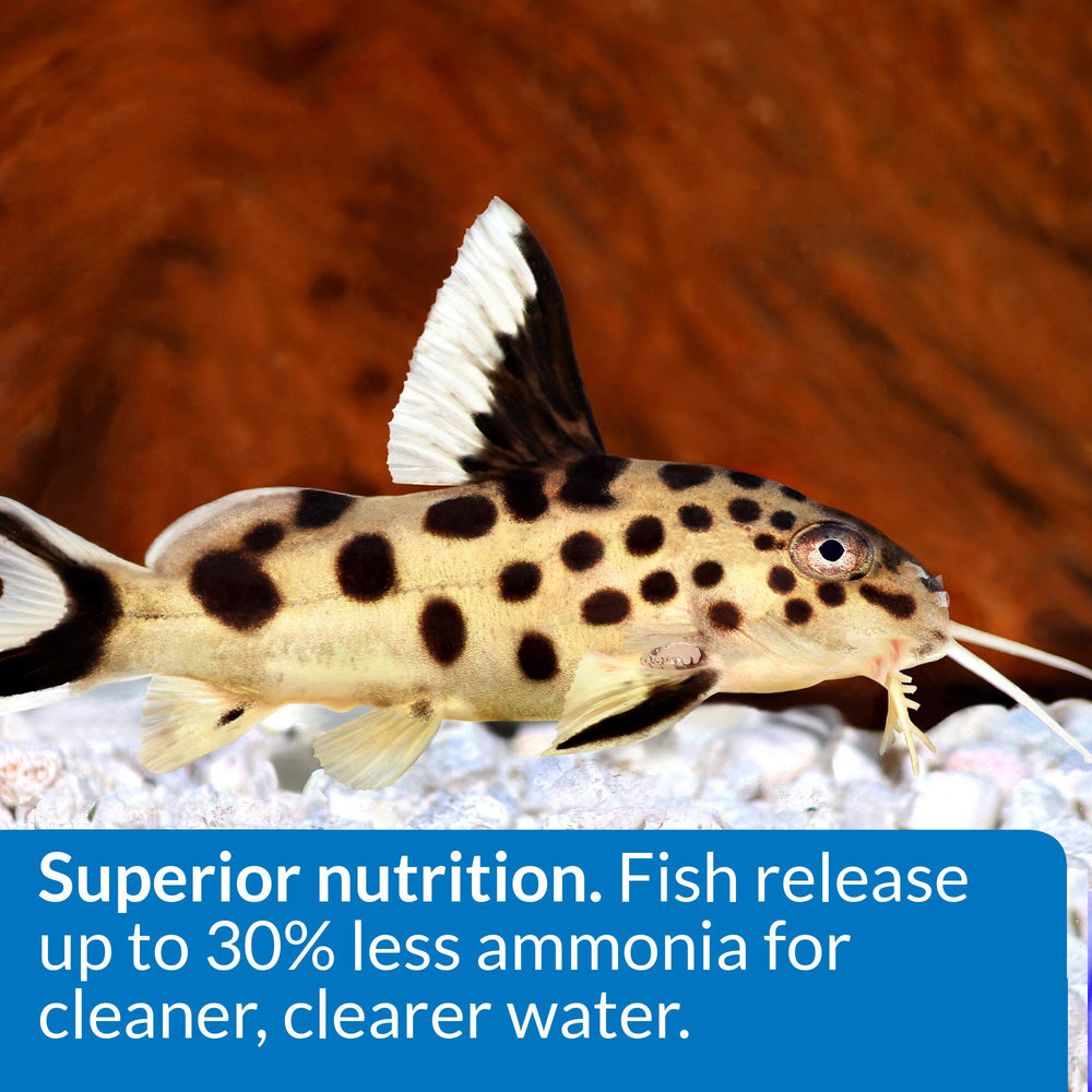 API Bottom Feeder Pellets promote better tank water quality with less waste.