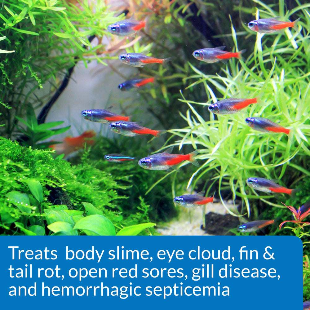 API FIN AND BODY CURE being applied in a tank to treat bacterial disease