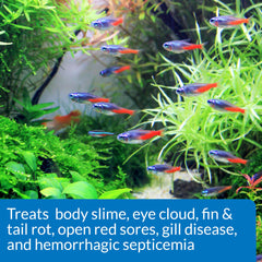 API FIN AND BODY CURE being applied in a tank to treat bacterial disease