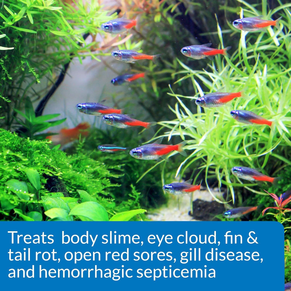 Slight water discoloration may occur after API Fin & Body Cure treatment.