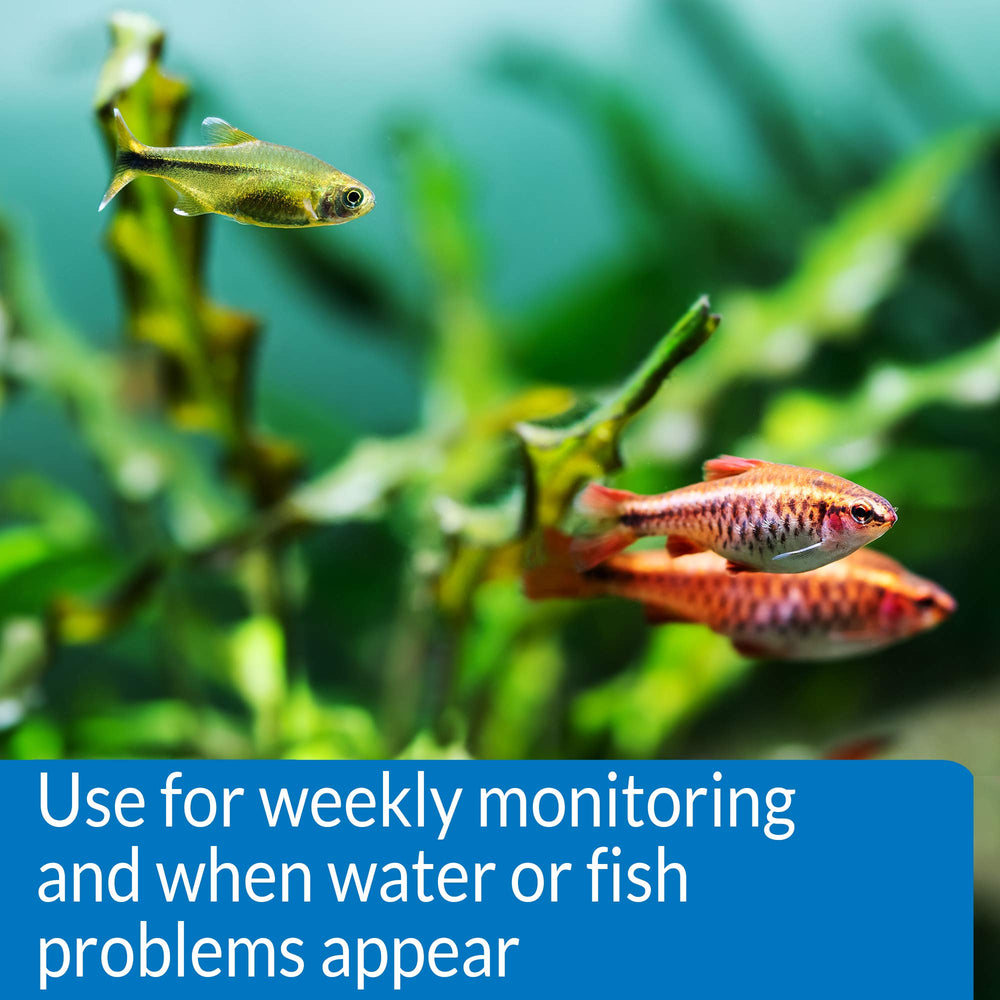 API Freshwater Master Test Kit drops reagents in vials for accuracy.
