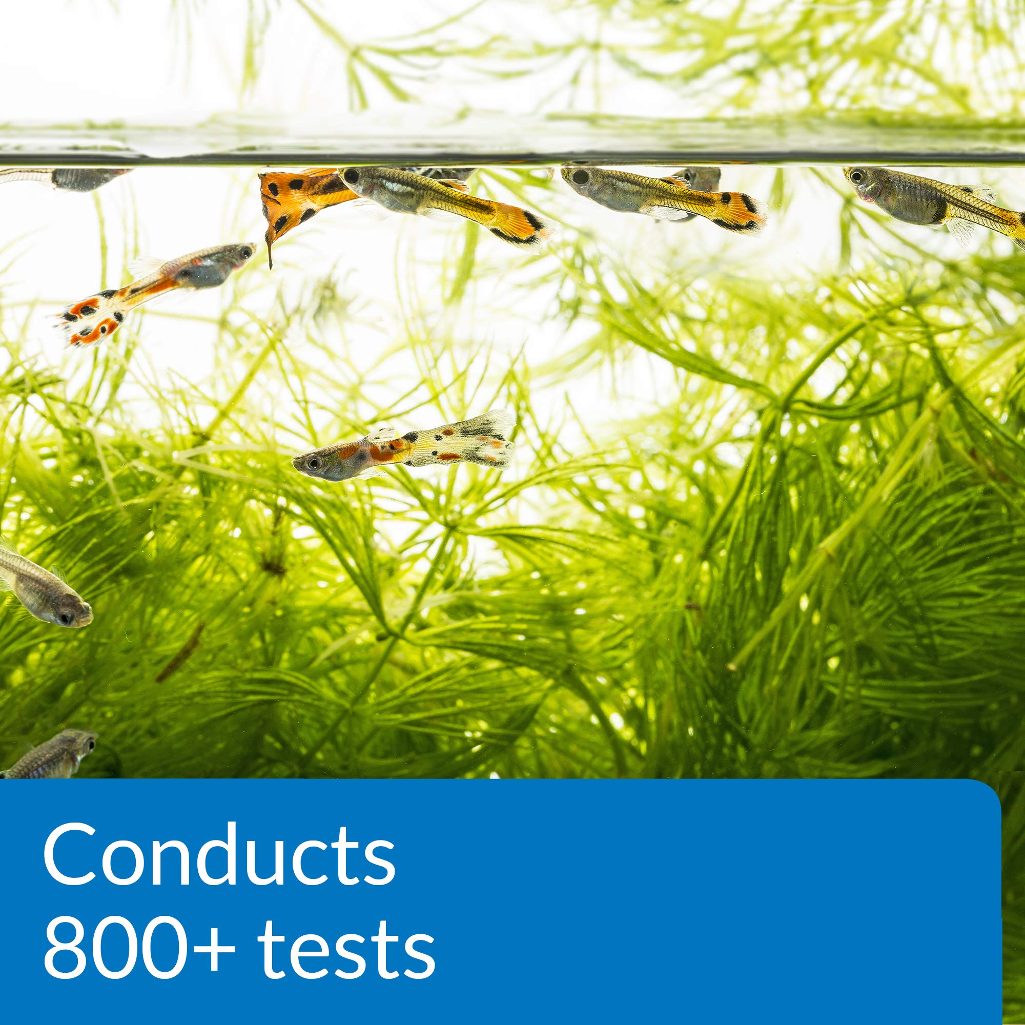 API Freshwater Master Test Kit in-use setup in freshwater aquarium.