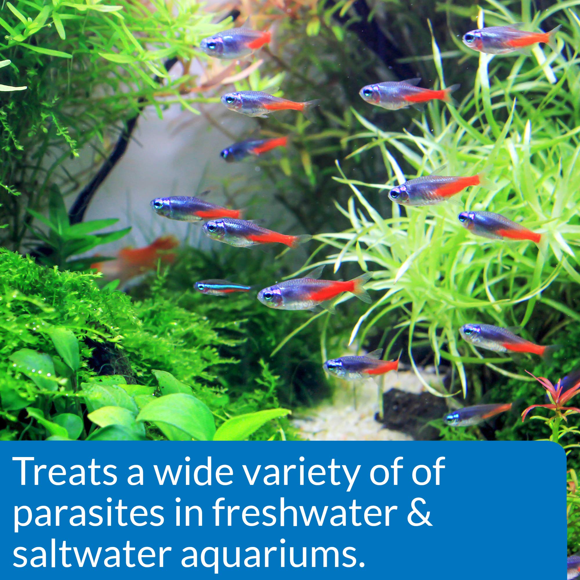 API General Cure freshwater-saltwater usage graphic conveys versatile applicability across tank types