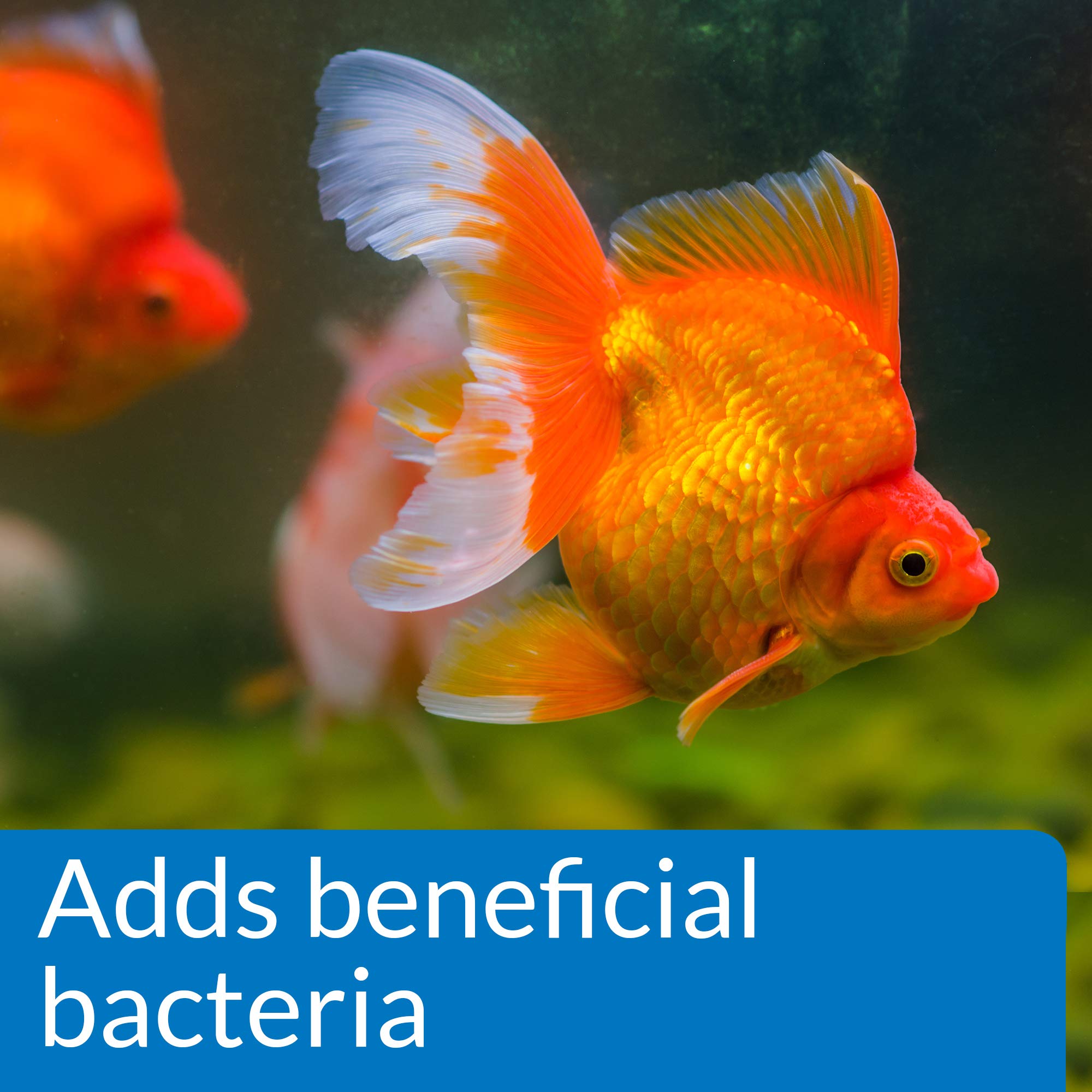 API Goldfish Aquarium Cleaner bottle beside gravel and decorations, promotes bacteria balance.