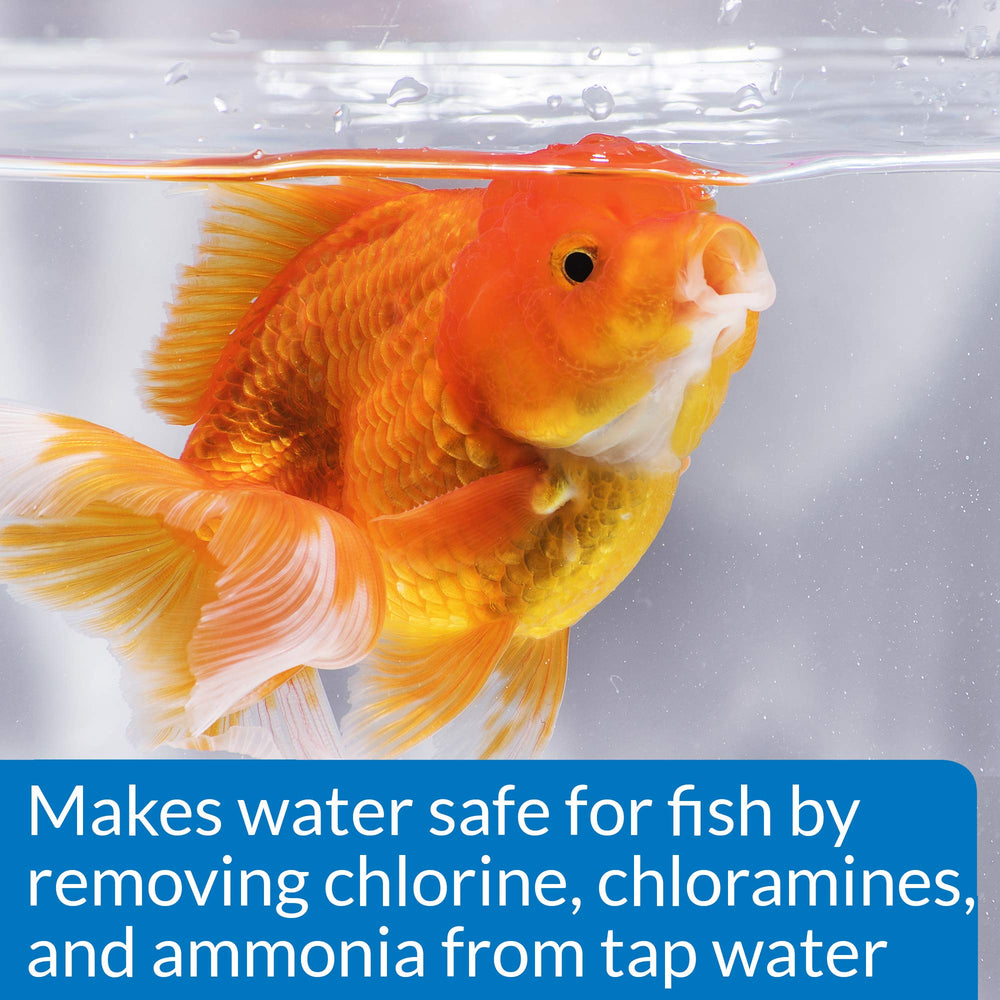 API Goldfish Aquarium Cleaner in-use scene helps keep tank gravel pristine.