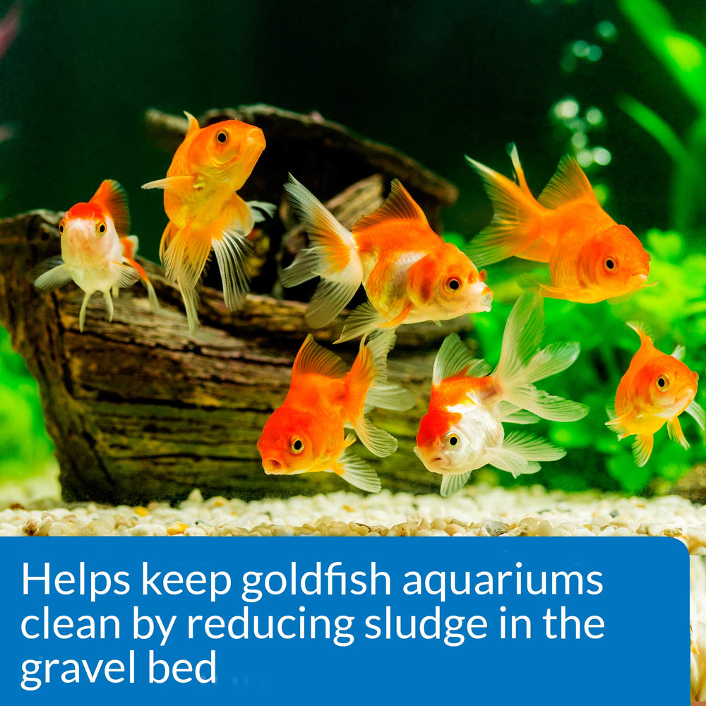 API Goldfish Aquarium Cleaner pouring action demonstrates convenient weekly use.