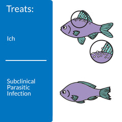 API LIQUID SUPER ICK CURE bottle label close-up shows dosage guidance.