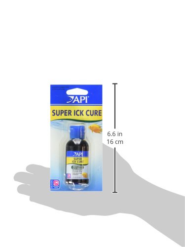 Five-day dosing steps shown for API LIQUID SUPER ICK CURE.