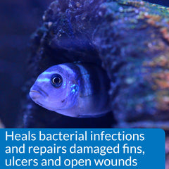 API MELAFIX dosing schedule illustrates a seven-day treatment plan.