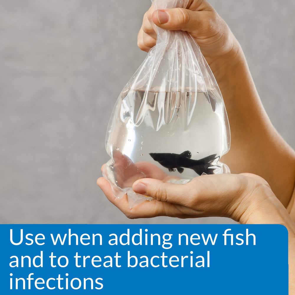 API MELAFIX tea tree extract emphasizes natural ingredient for fish care.