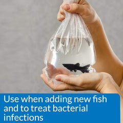API MELAFIX tea tree extract emphasizes natural ingredient for fish care.