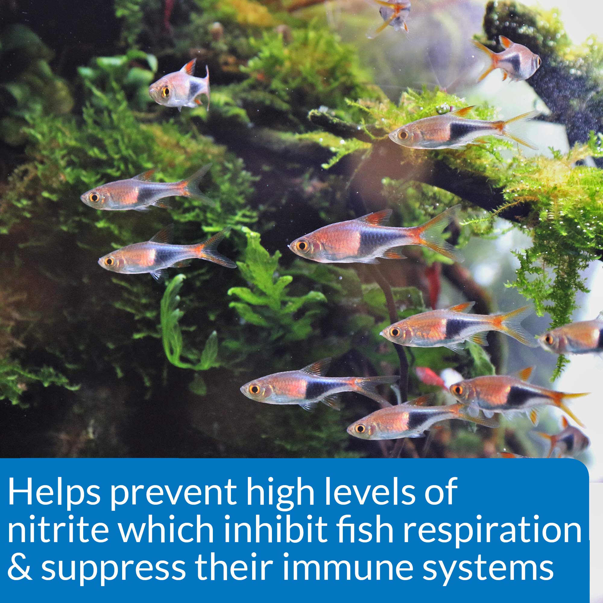 API Nitrite Test Kit supports freshwater and saltwater hobby testing.