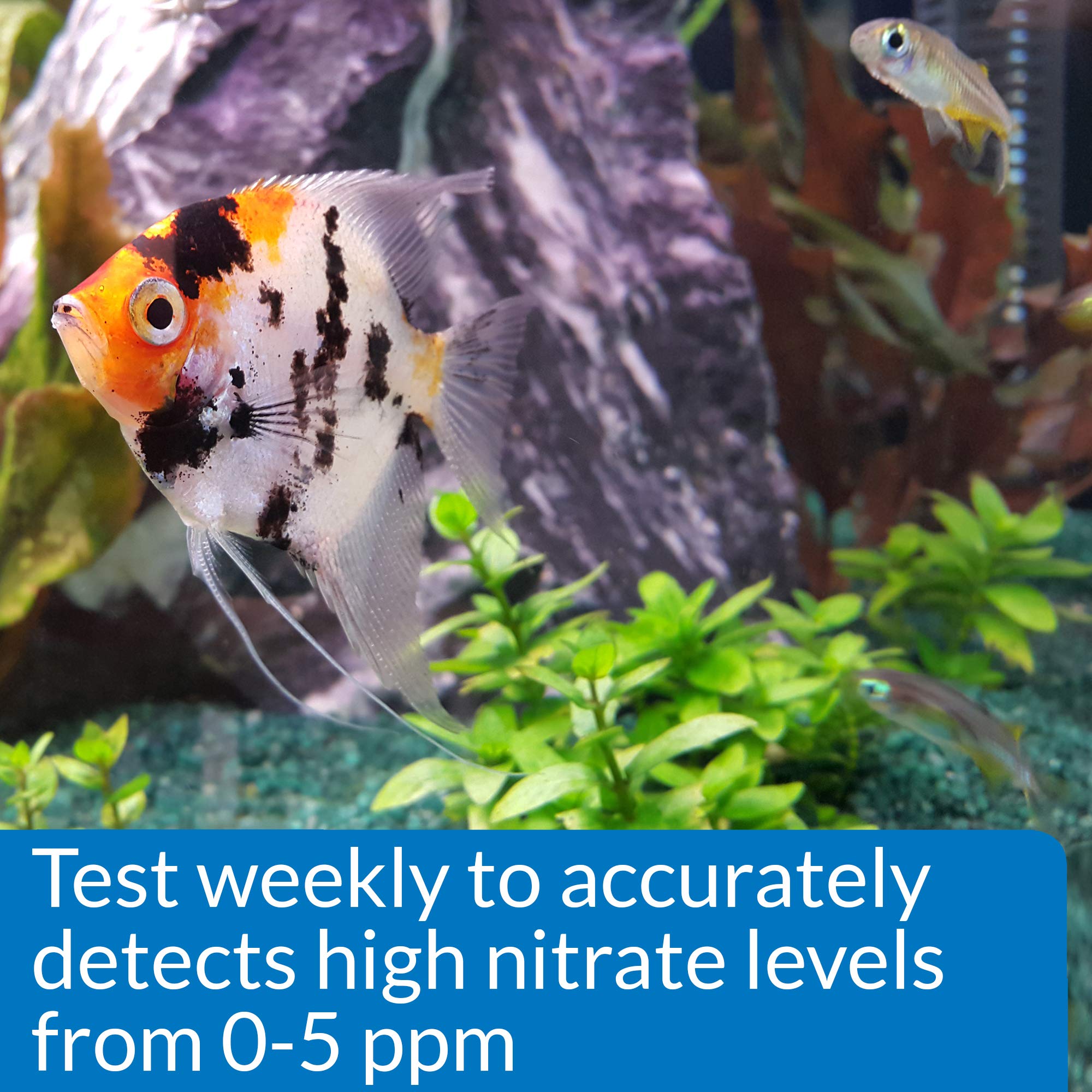 API Nitrite Test Kit instruction manual guides use.