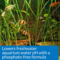 API pH DOWN in an aquarium setup scene showing ready to use balance.