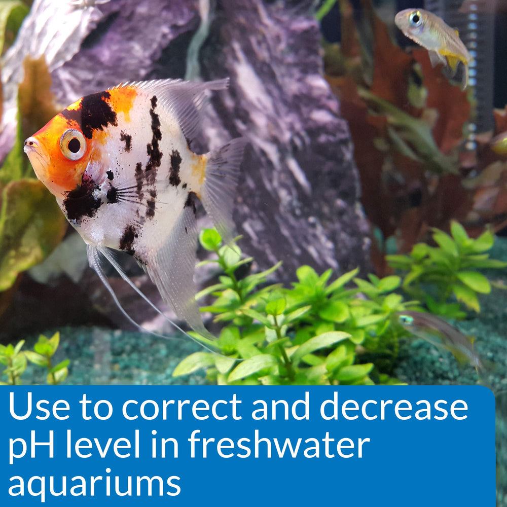 API pH DOWN pouring into aquarium for pH adjustment.
