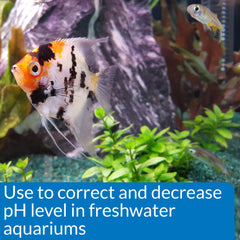 API pH DOWN pouring into aquarium for pH adjustment.