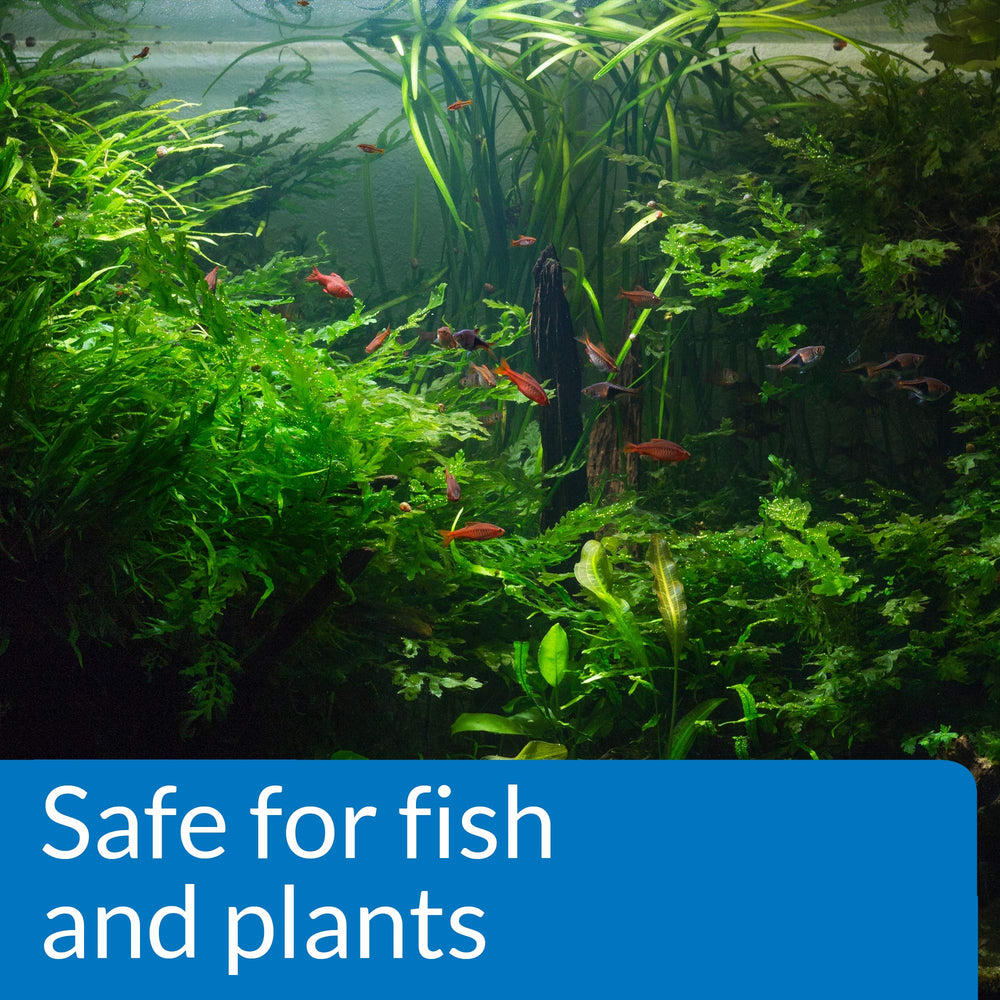 API pH DOWN safe for fish and plants in a healthy tank.