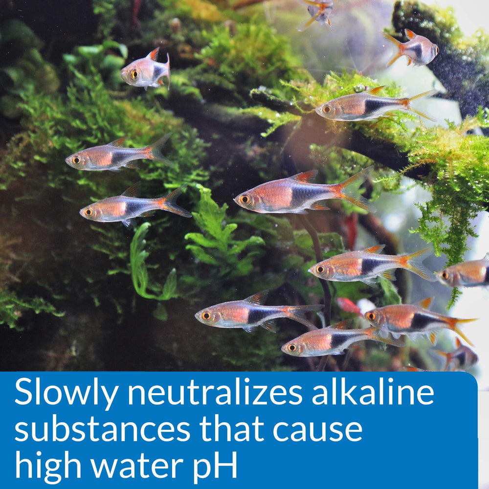 API pH DOWN water in a tank demonstrating clear pH stability.