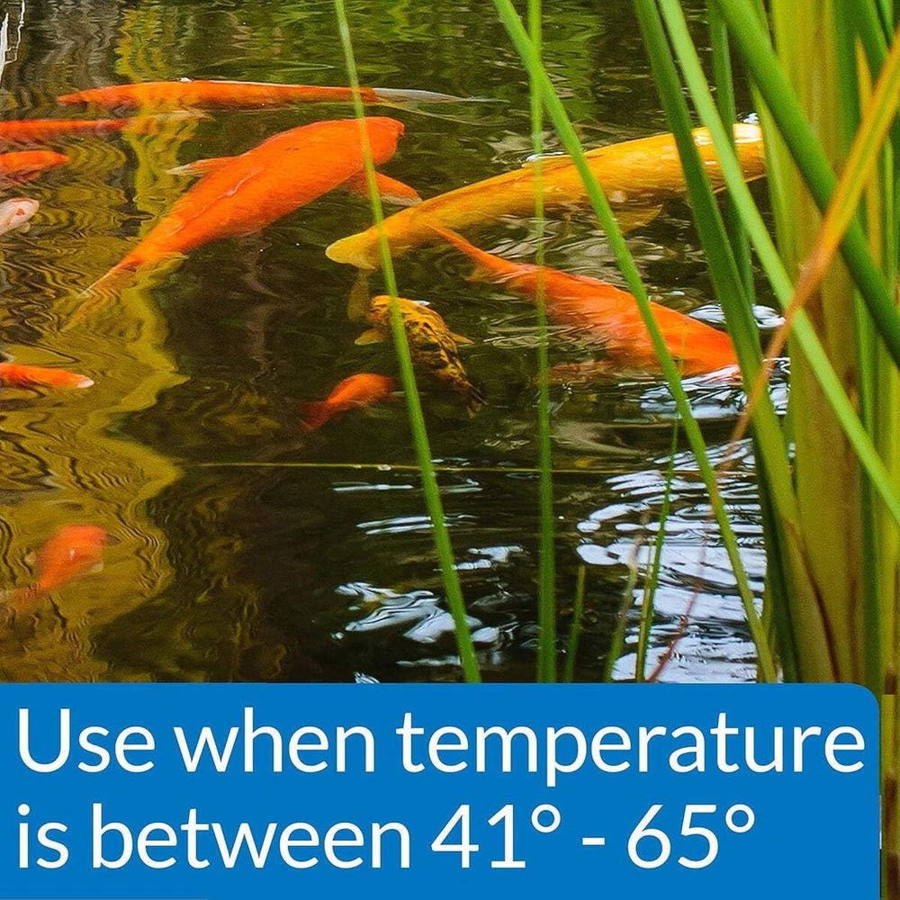 API POND COOL WATER FOOD supports immune health and activity