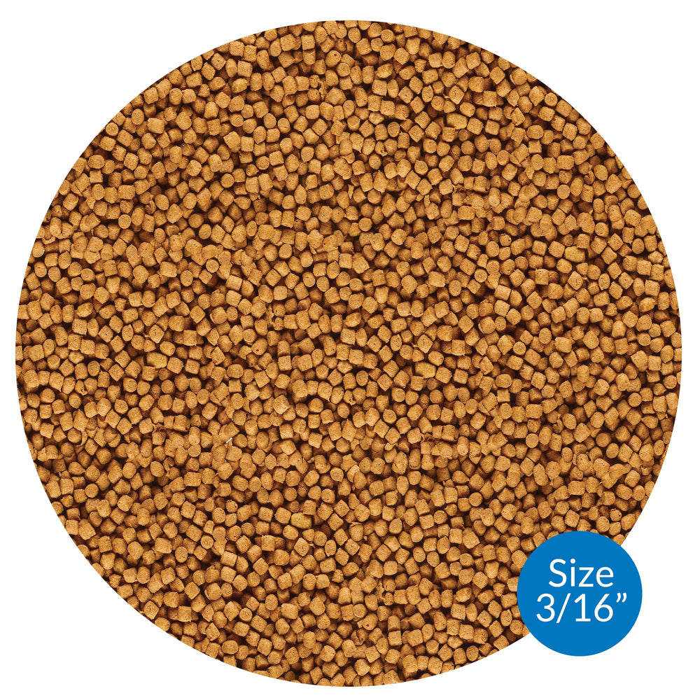 API POND Cool Water Food pellet close-up highlights high-protein formula