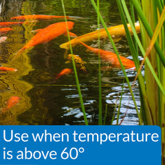 API POND FISH FOOD feeding time image demonstrates simple daily feeding routine for pond residents.