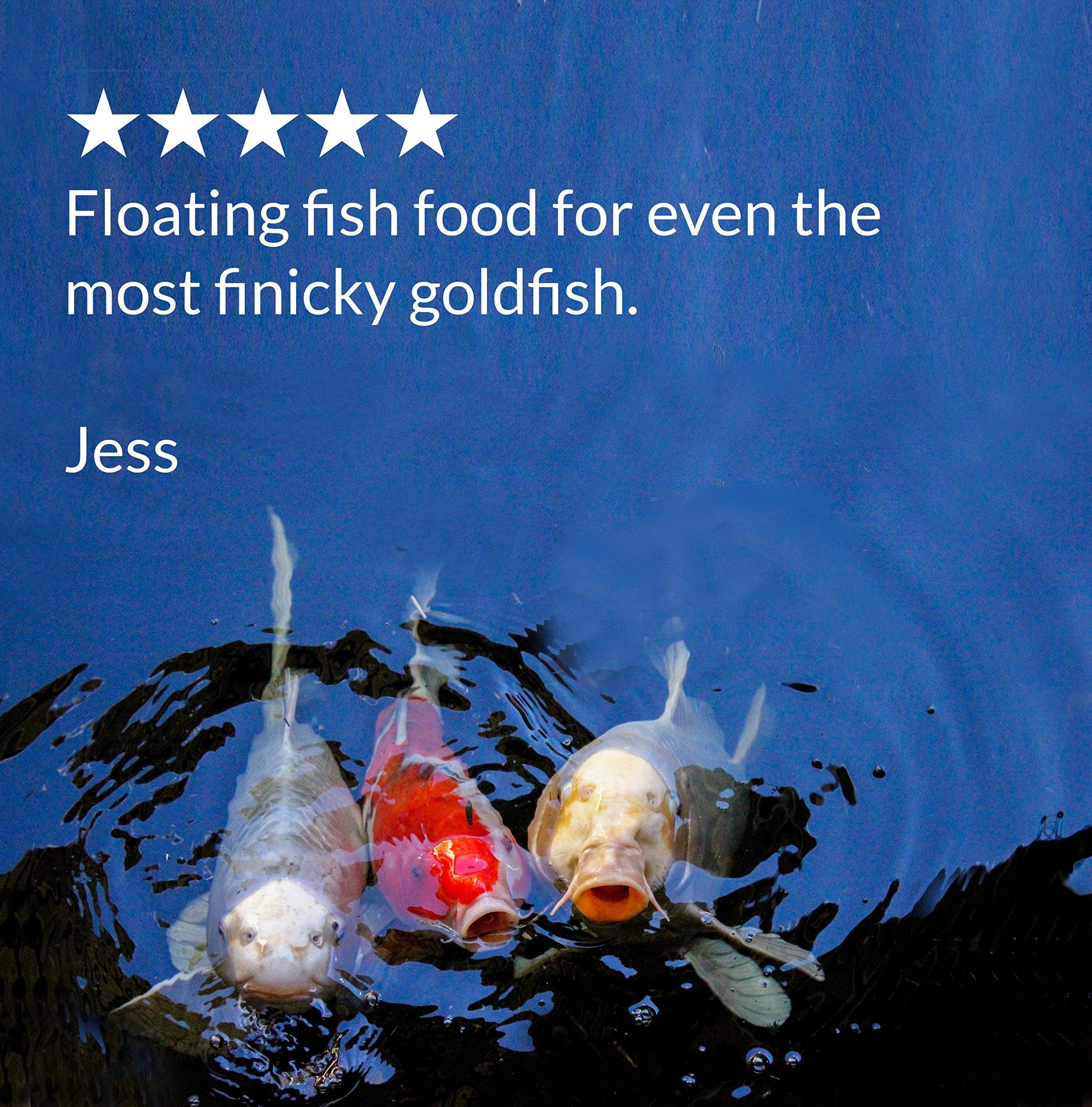 API POND FISH FOOD packaging in pond setting shows easy integration with routine pond care.