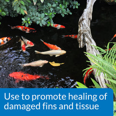API POND MELAFIX bottle pouring for easy daily dosing in ponds