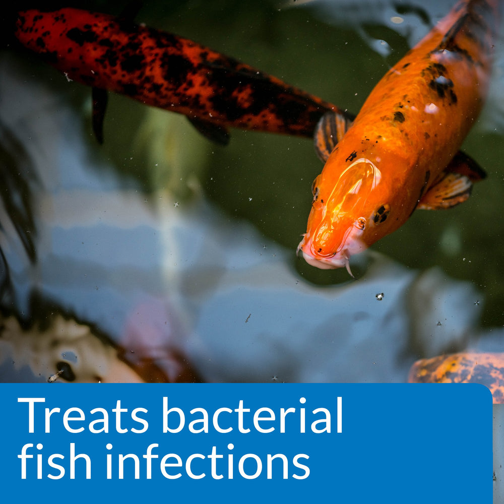 API POND MELAFIX used on pond fish to support care for infections
