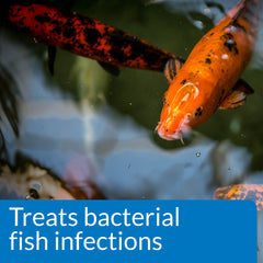 API POND MELAFIX used on pond fish to support care for infections