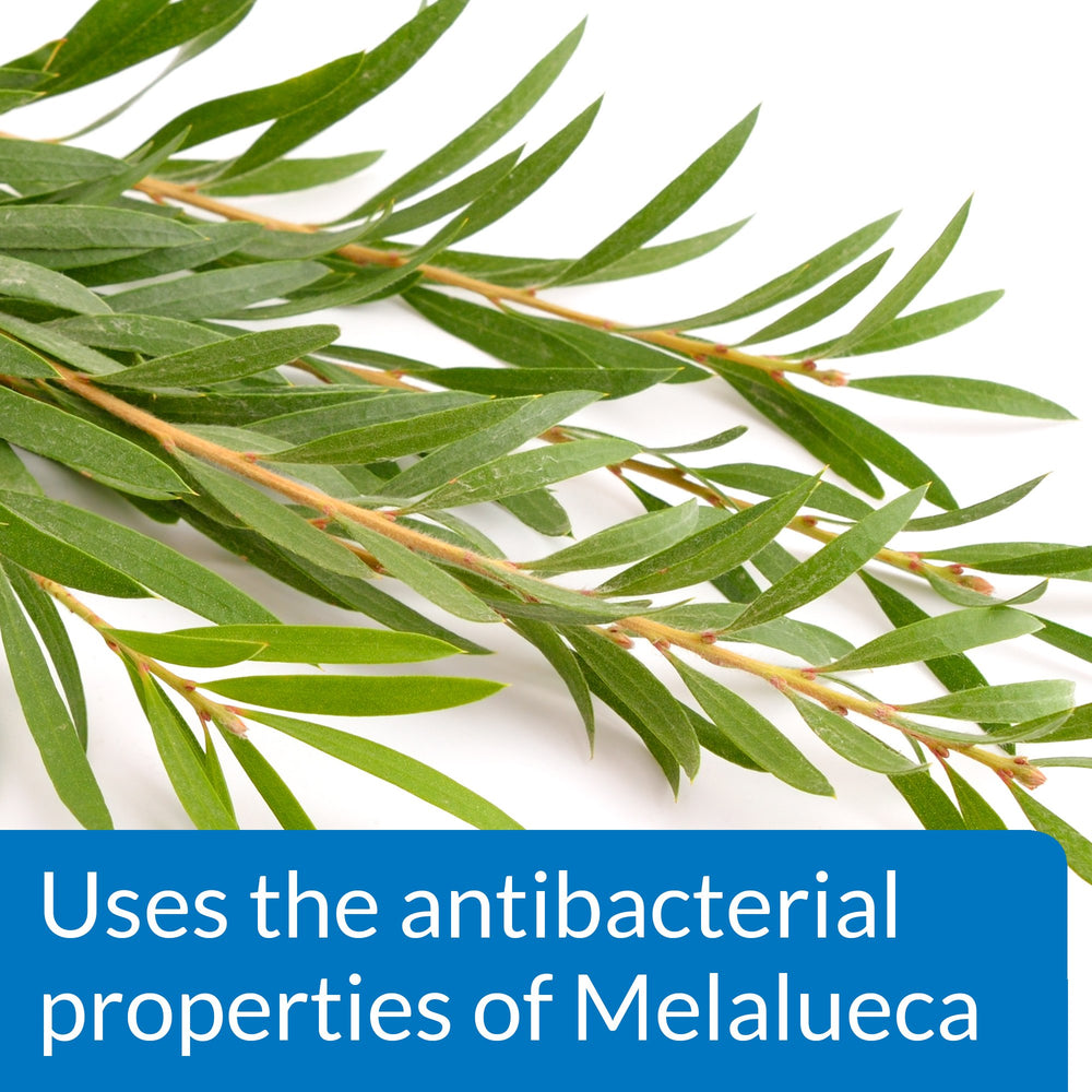 API POND MELAFIX used during new fish introduction to reduce disease risk