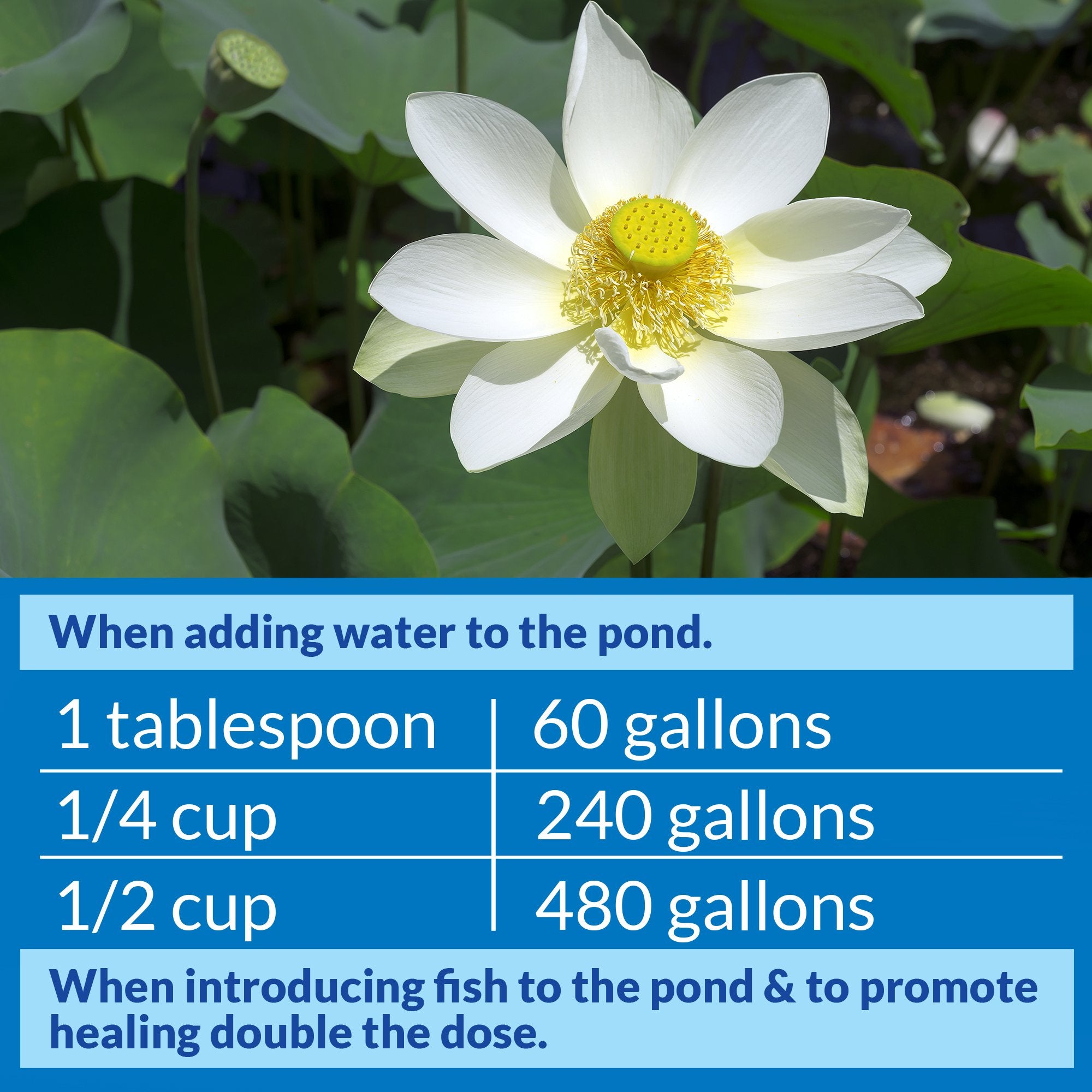 API POND STRESS COAT safe for freshwater ponds, fish, and wildlife.