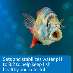 API PROPER pH 8.2 bottle open shows easy dosing for balance.