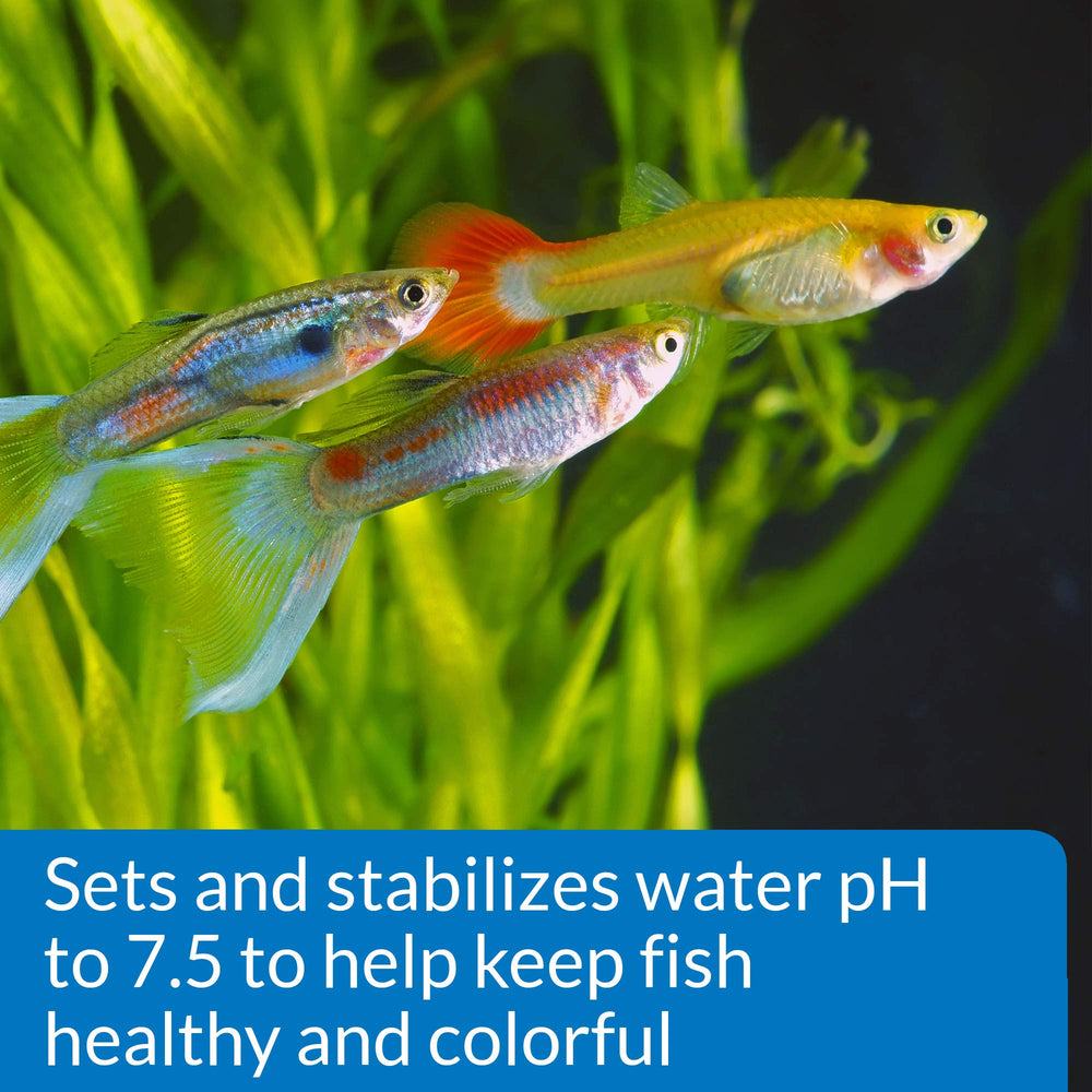 API Proper pH 7.5 jar-pour demonstrates safe water treatment during water changes for fish.