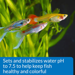 API Proper pH 7.5 jar-pour demonstrates safe water treatment during water changes for fish.