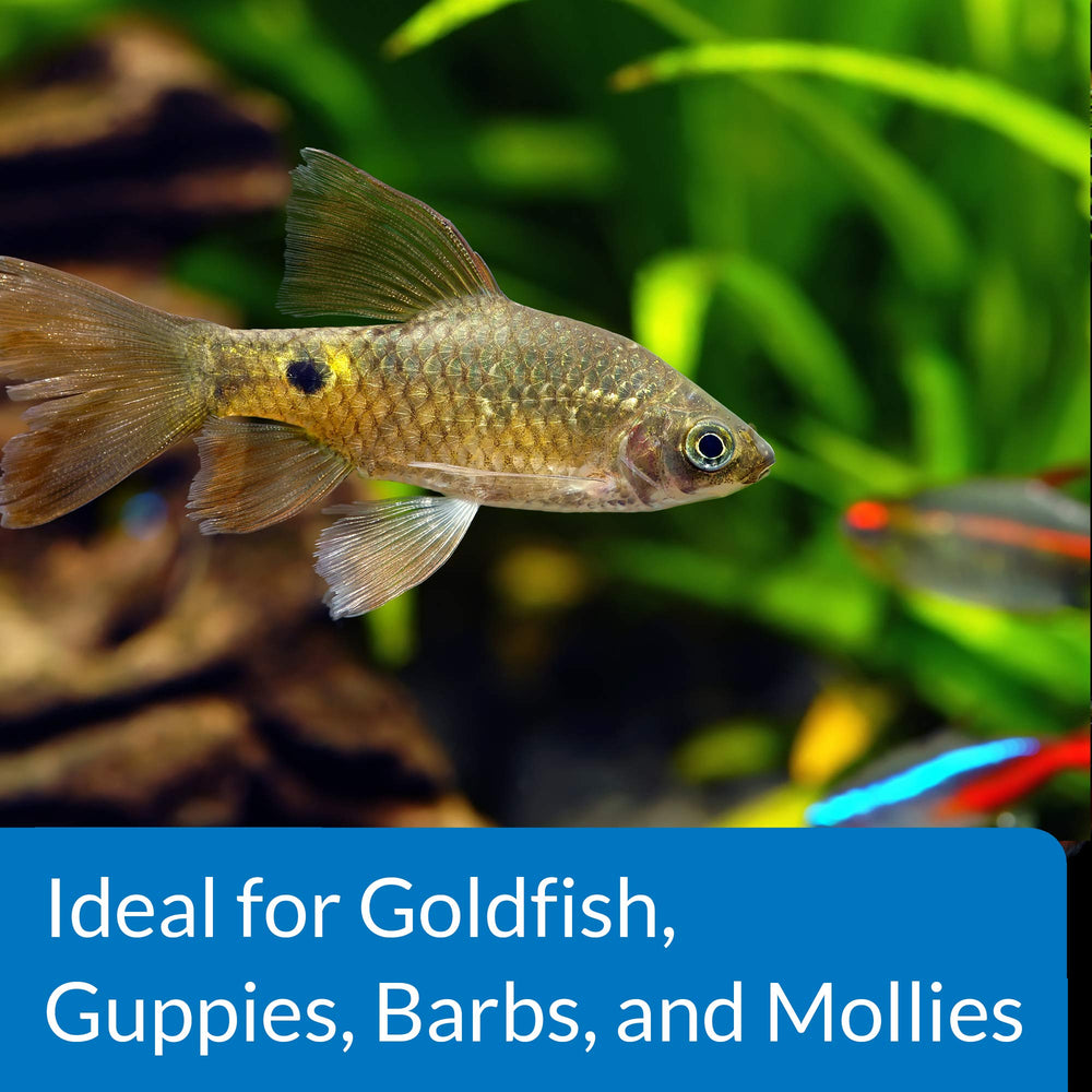 API Proper pH 7.5-tank-setup image highlights stable pH in mixed community tanks.