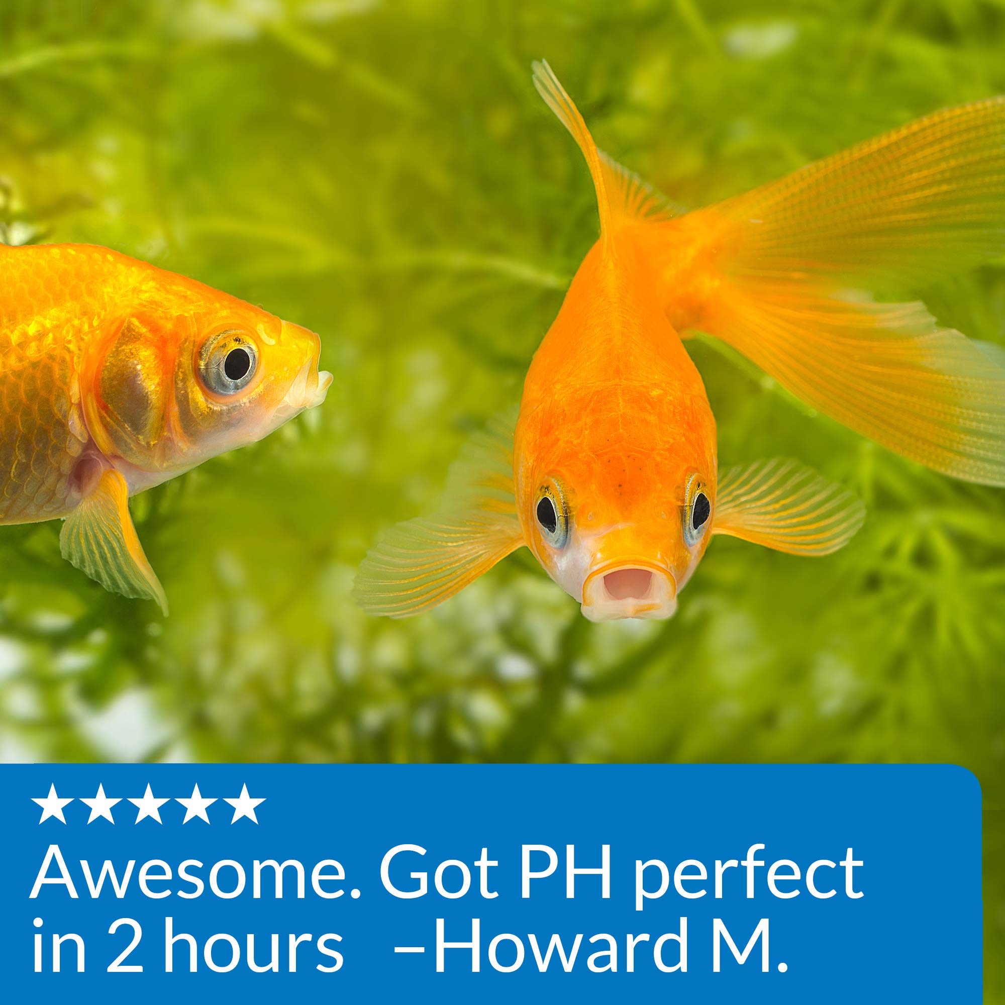 API Proper pH 7.5-water-testing reminder emphasizes weekly pH checks for reliable results.