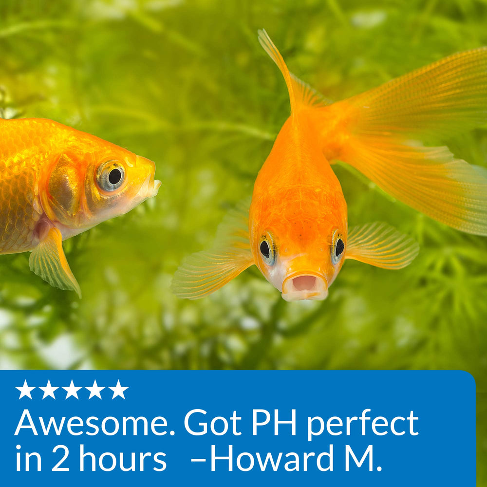 API Proper pH 7.5-water-testing reminder emphasizes weekly pH checks for reliable results.