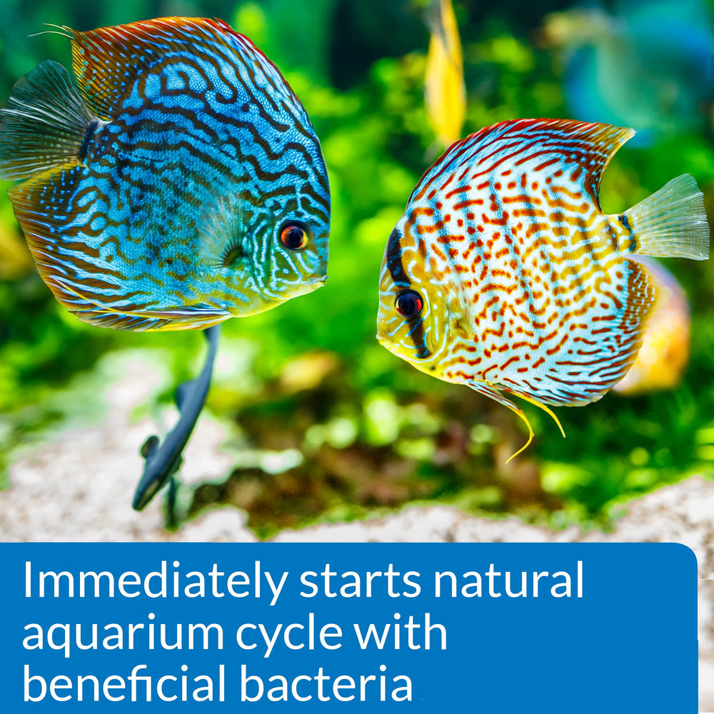 API QUICK START used in a saltwater tank showing quick filtration benefits.