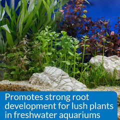Lush freshwater plants thriving in an aquarium using API Root Tabs.