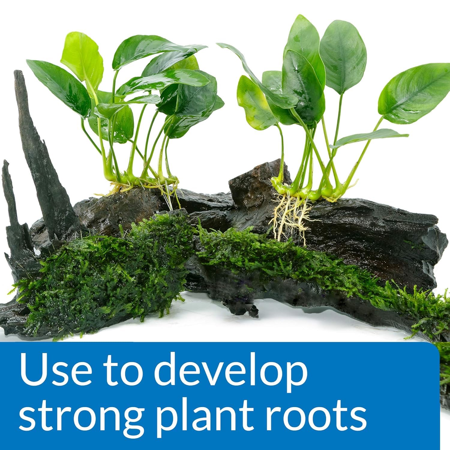 API Root Tabs tablet close-up highlighting visible nutrients for healthy roots.