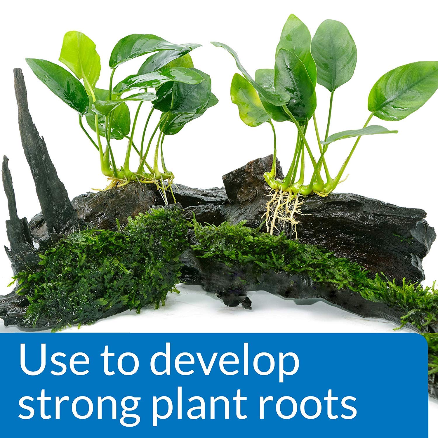 API root tabs tablets close-up emphasizes essential nutrients for plant growth.