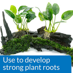 API root tabs tablets close-up emphasizes essential nutrients for plant growth.