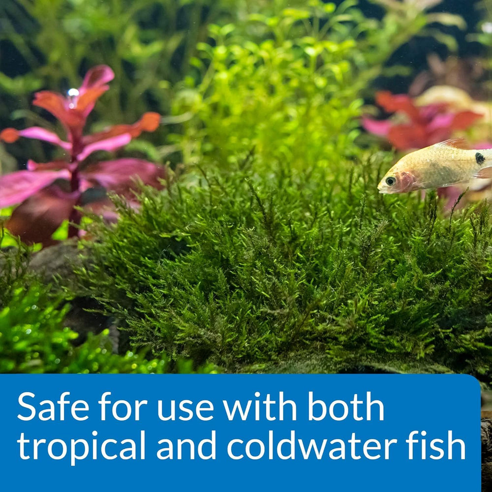 API root tabs three-box pack indicates ongoing value for aquarium plants.