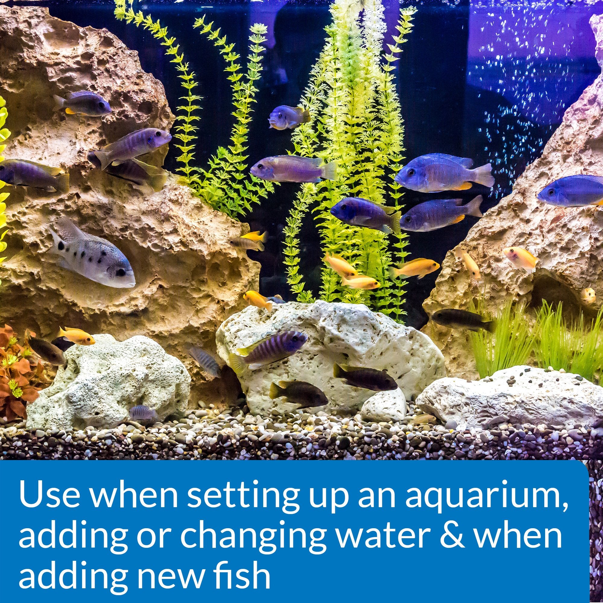 API Stress Coat bottle pour demonstrates easy water treatment for stressed fish.