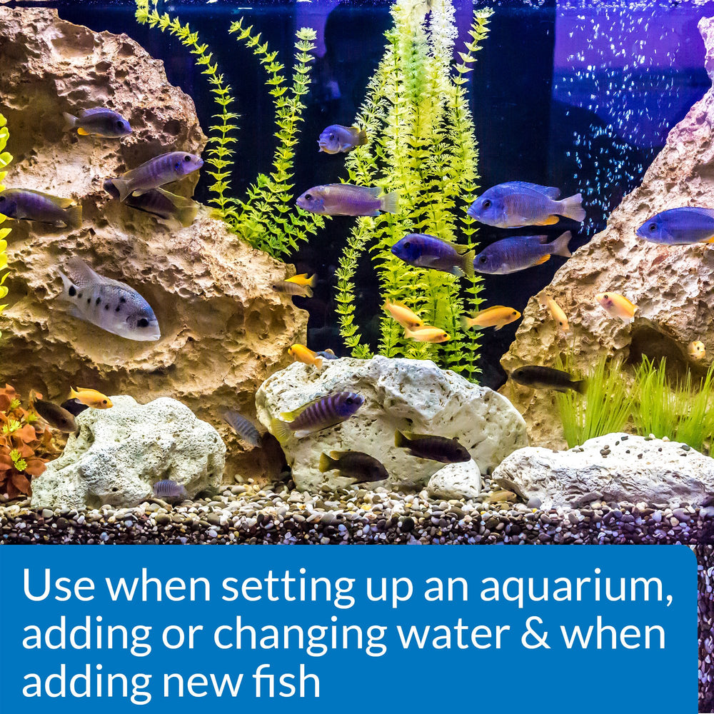 API Stress Coat bottle pour demonstrates easy water treatment for stressed fish.