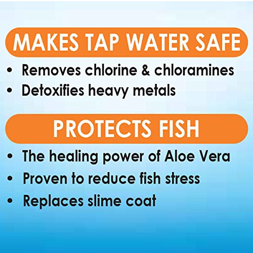 API STRESS COAT safe for freshwater fish and community tanks