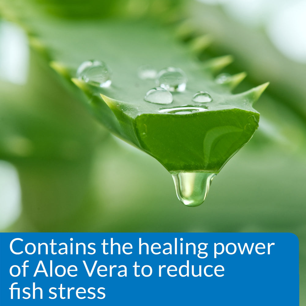 API Stress Coat label close-up features aloe vera and dechlorination benefits.