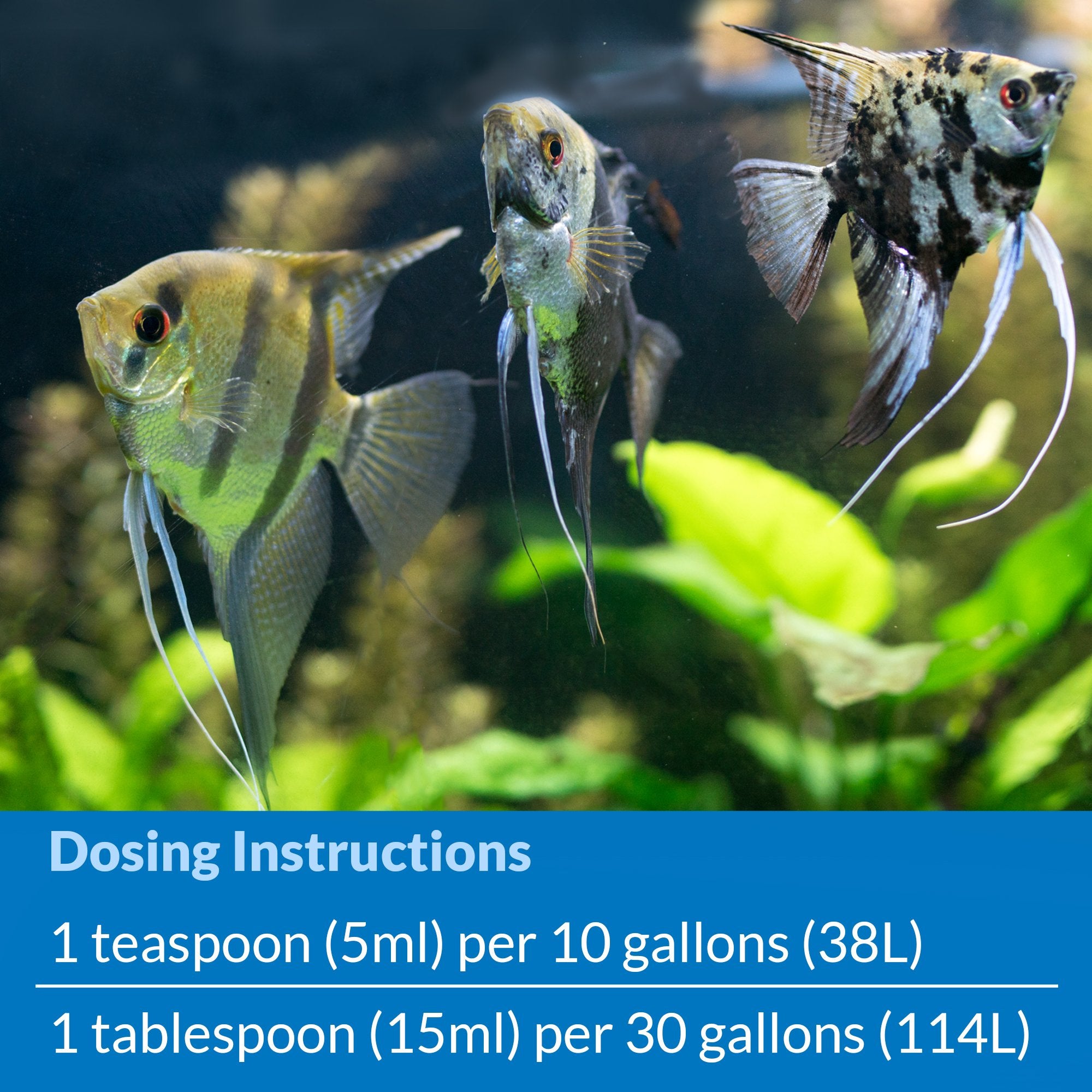 API Stress Coat pond water application demonstrates novice-friendly water conditioning.